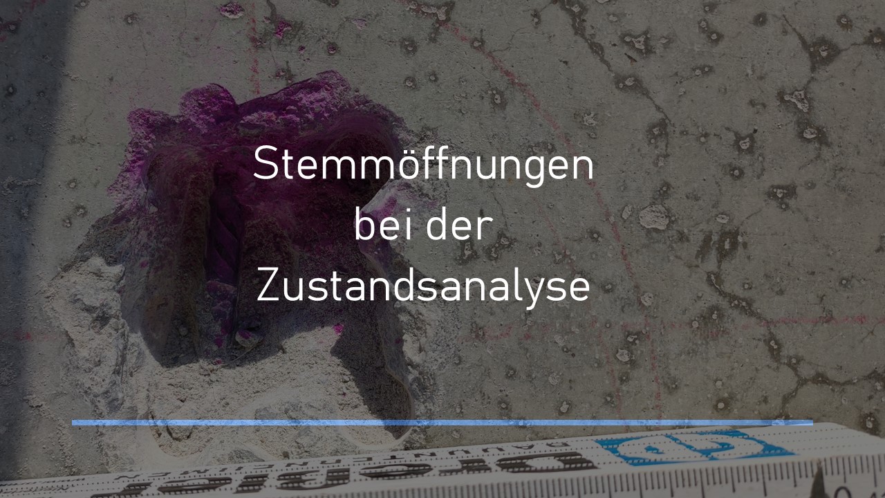 Read more about the article Was bei Stemmöffnungen bei der Zustandsanalyse von Betonbauwerken zu beachten ist!